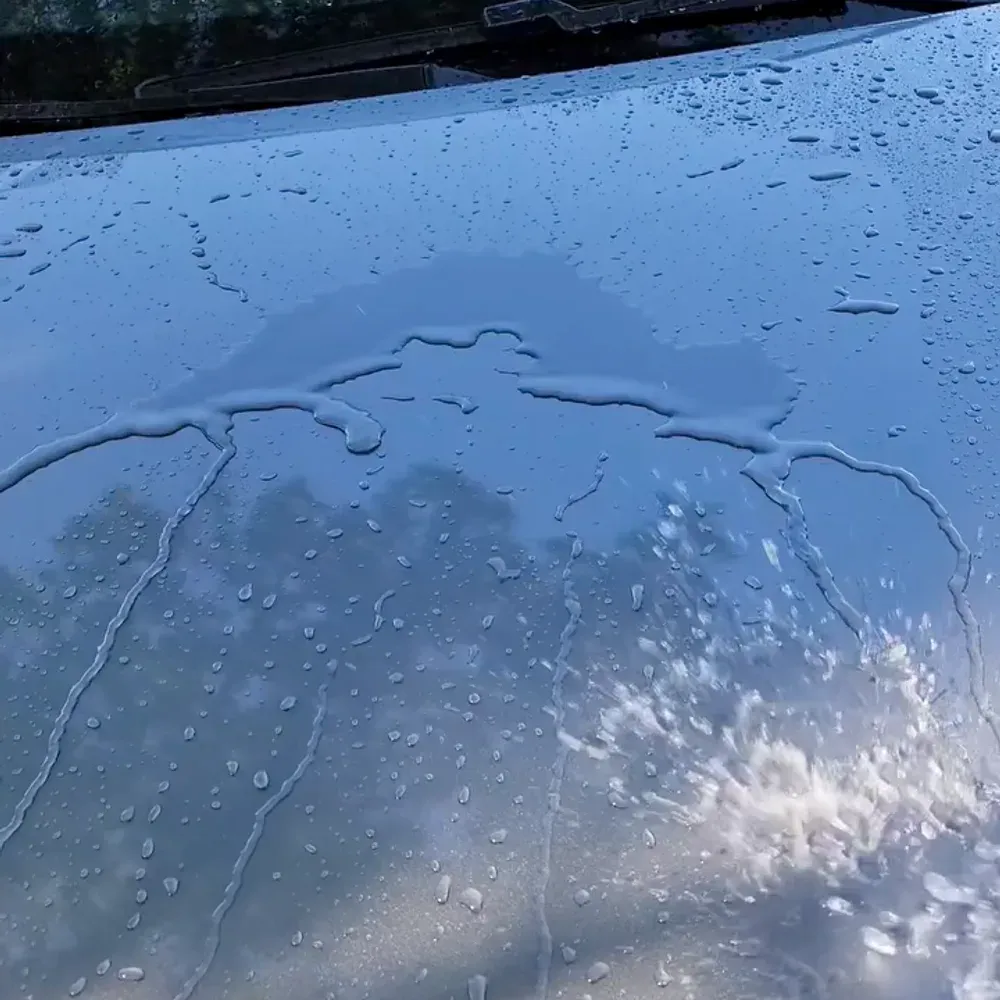 Water clinging flat across an unprotected car hood instead of beading, showing paint with no remaining protection